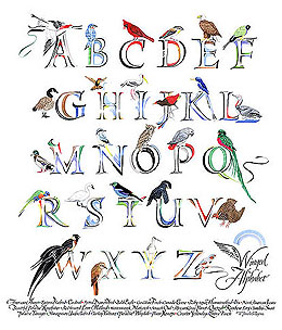 winged alphabet